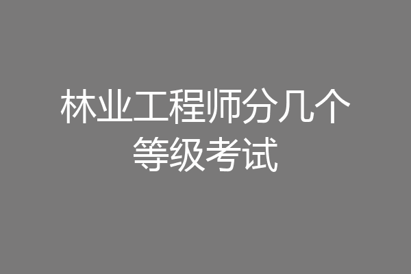 林业工程师分几个等级考试