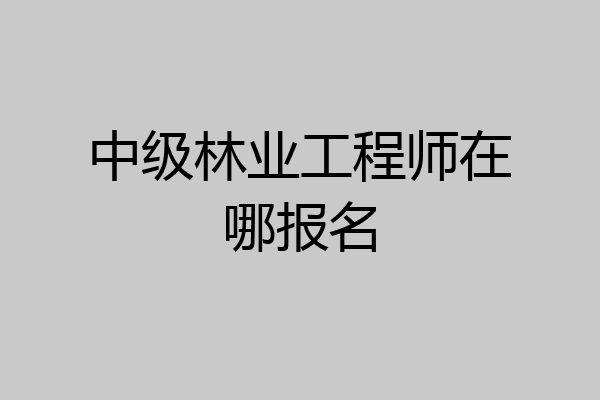 中级林业工程师在哪报名