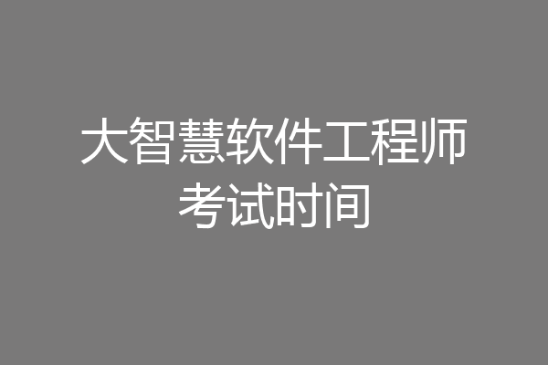 大智慧软件工程师考试时间