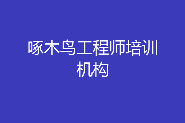 啄木鸟工程师培训机构