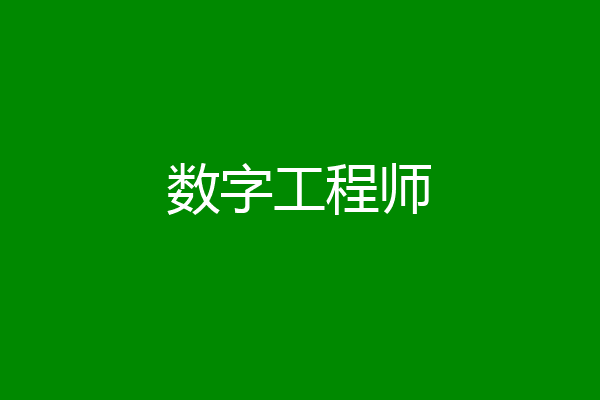 数字工程师