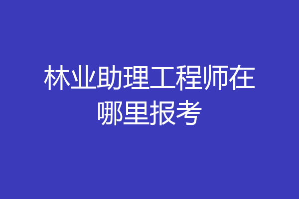 林业助理工程师在哪里报考