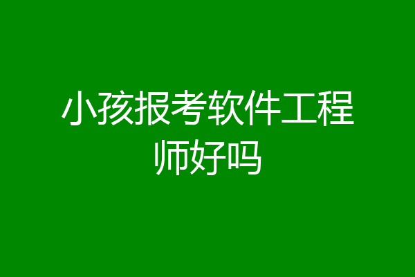 小孩报考软件工程师好吗