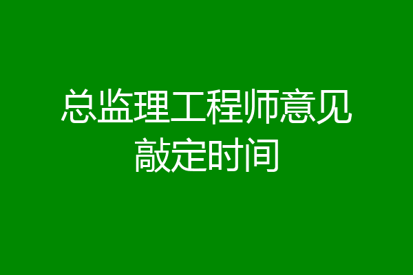 总监理工程师意见敲定时间