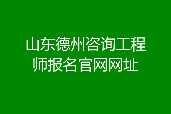 山东德州咨询工程师报名官网网址