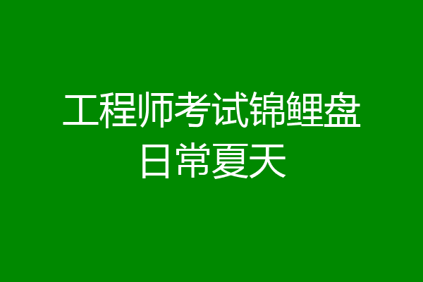 工程师考试锦鲤盘日常夏天