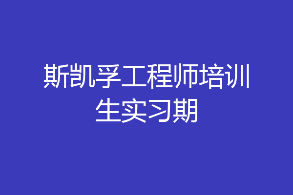 斯凯孚工程师培训生实习期