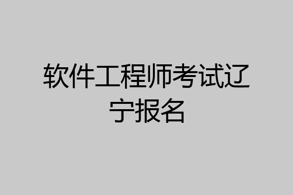 软件工程师考试辽宁报名