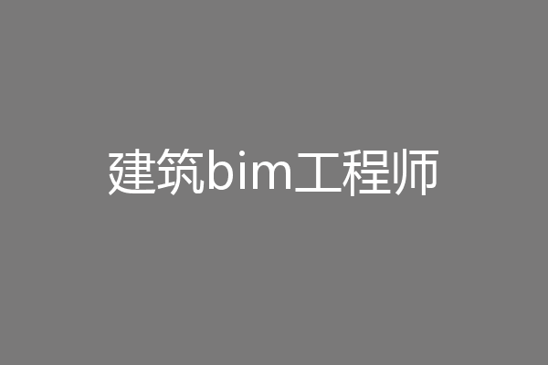 建筑bim工程师