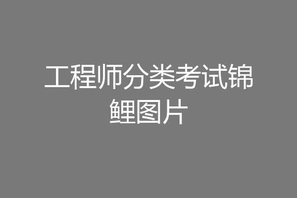 工程师分类考试锦鲤图片