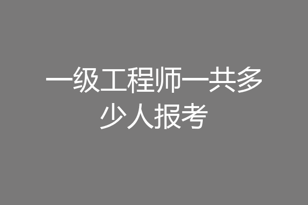 一级工程师一共多少人报考