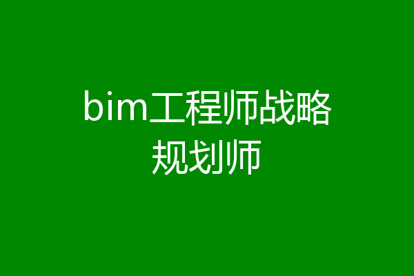bim工程师战略规划师