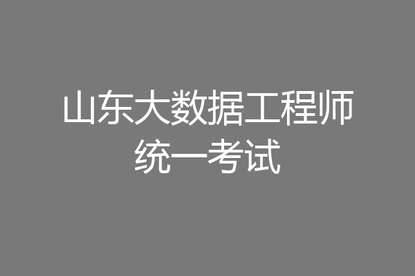 山东大数据工程师统一考试