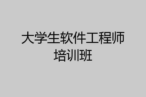 大学生软件工程师培训班