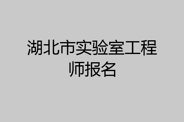湖北市实验室工程师报名