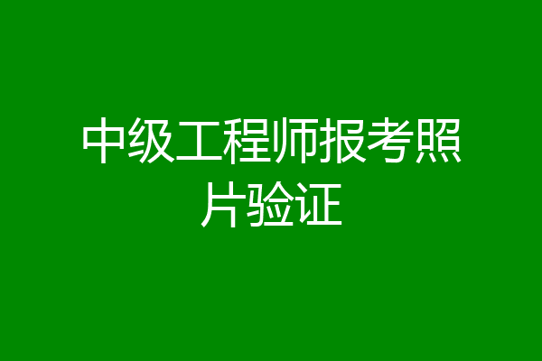 中级工程师报考照片验证