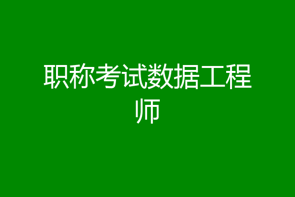 职称考试数据工程师