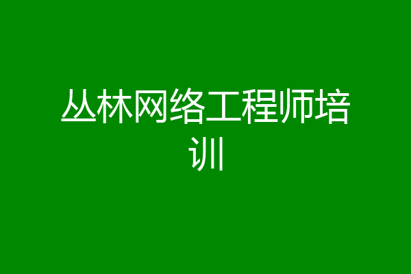 丛林网络工程师培训