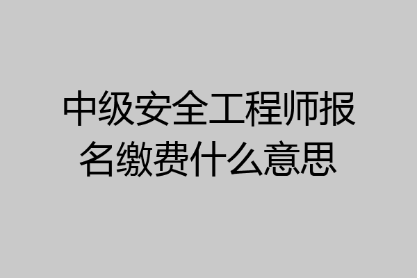 中级安全工程师报名缴费什么意思