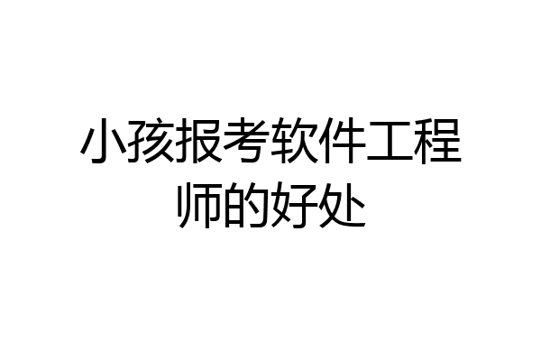 小孩报考软件工程师的好处