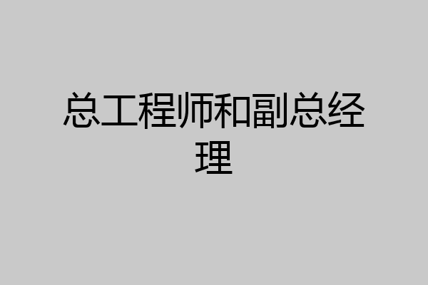 总工程师和副总经理