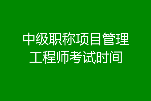 中级职称项目管理工程师考试时间