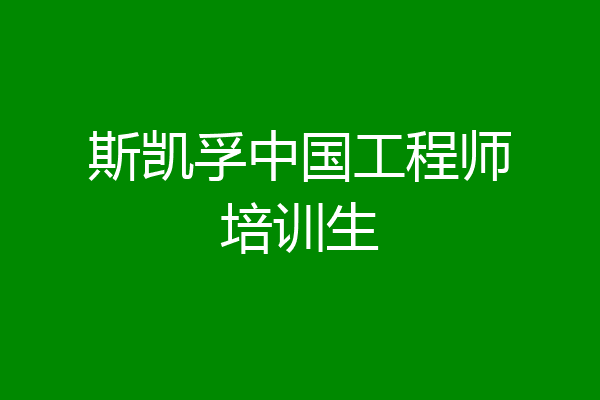 斯凯孚中国工程师培训生