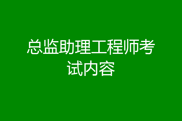 总监助理工程师考试内容