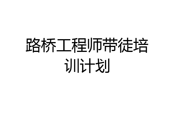 路桥工程师带徒培训计划