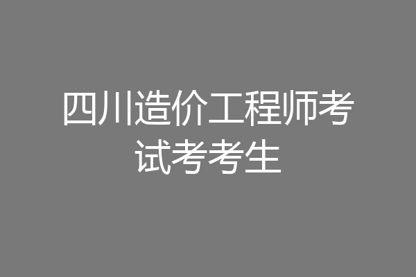 四川造价工程师考试考考生