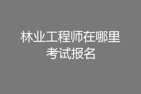 林业工程师在哪里考试报名