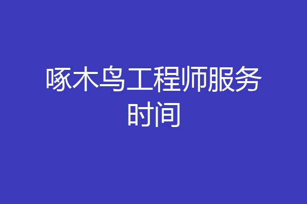 啄木鸟工程师服务时间