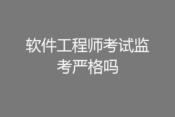 软件工程师考试监考严格吗