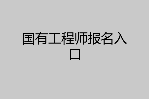 国有工程师报名入口