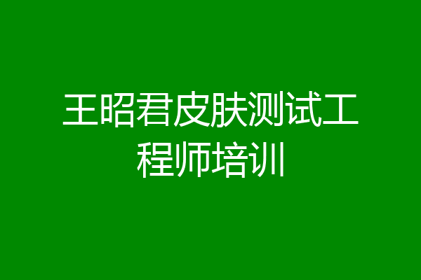 王昭君皮肤测试工程师培训