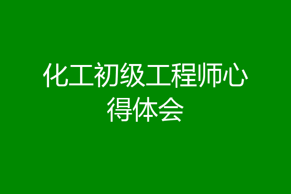 化工初级工程师心得体会