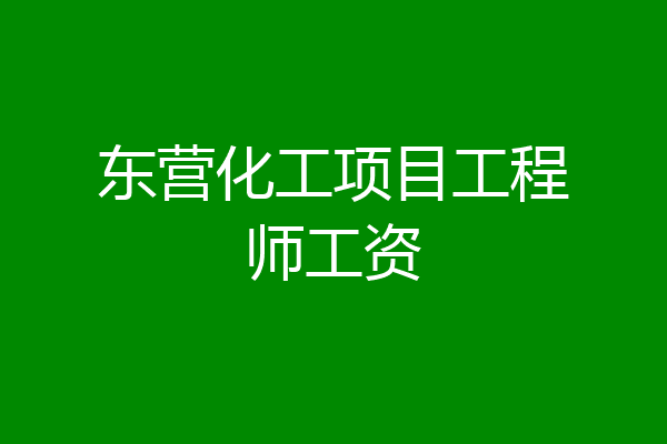东营化工项目工程师工资