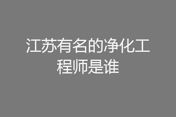 江苏有名的净化工程师是谁