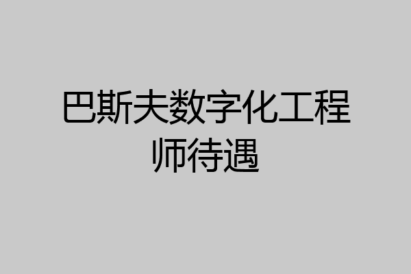 巴斯夫数字化工程师待遇