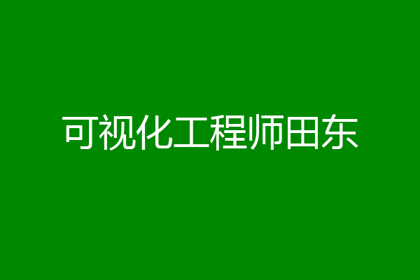 可视化工程师田东