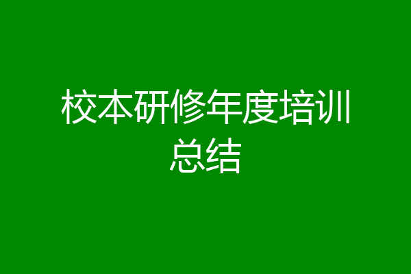 校本研修年度培训总结