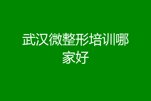 武汉微整形培训哪家好