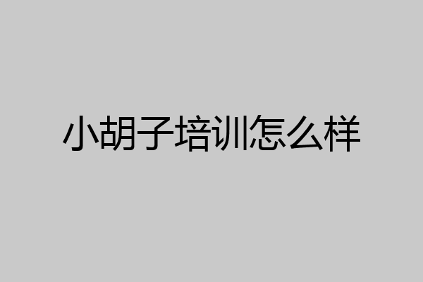 小胡子培训怎么样