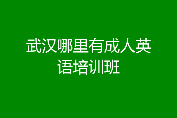 武汉哪里有成人英语培训班