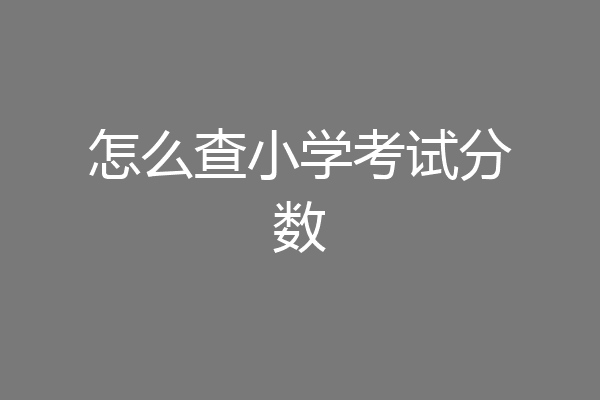 怎么查小学考试分数