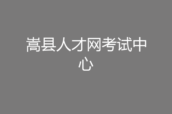 嵩县人才网考试中心