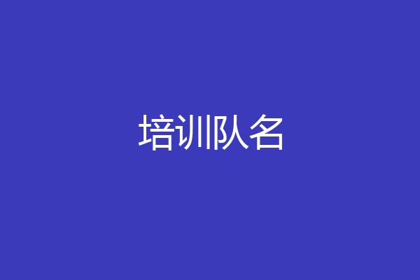培训队名