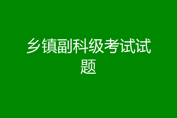 乡镇副科级考试试题