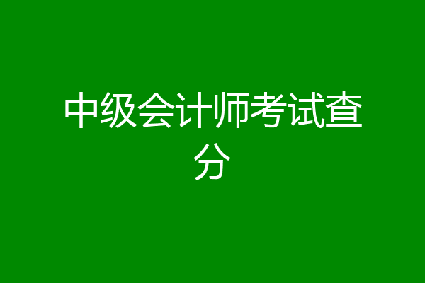 中级会计师考试查分