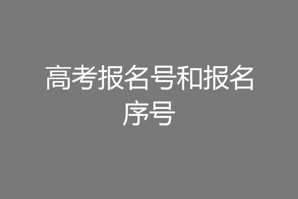 高考报名号和报名序号
